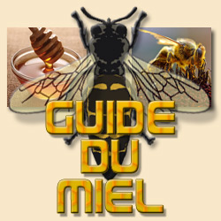Tout savoir sur le miel