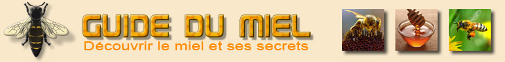 Tout savoir sur le miel